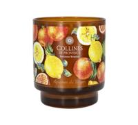 Collines de Provence Bougie parfumée Agrumes du Verger 220g