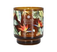 Collines de Provence Bougie parfumée Fleur de Paradis 220g