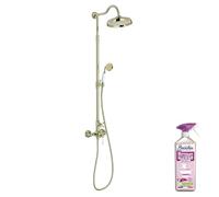 Colonne de douche JACOB DELAFON Cléo 1889 Or beige + nettoyant Briochin