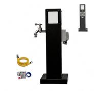 Colonne d'eau de jardin avec éclairage LED, bouche d'incendie de jardin en acier inoxydable 304, robinet extérieur avec indice de protection IP66, robinet résistant au gel pour terrasse et pelouse (60