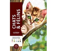 Coloriages mystères - Chats et félins - Capucine Sivignon - Hachette Heroes - broché - Livre-jeu