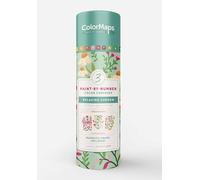 ColorMaps Paint-by-Number Relaxing Garden: Everything You Need to Create 3 Beautiful Paintings: 3 Colored-Line Canvases, 12 Acrylic Paint Pots, 1 ... and Instruction Leaflet Included!