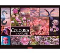 Colours of Nature Kalender 2027: Großer Foto-Wandkalender im Querformat 68 x 49 cm. Natur-Kalender 2027 mit harmonischen Bild- und Farbkompositionen für jeden Monat.