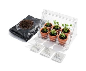com-four® Mini Serre avec 6 Pots en Terre Cuite, graines et terreau - kit de Culture pour Basilic, Persil et ciboulette - Serre d’intérieur pour semis (Kit de Culture 10)