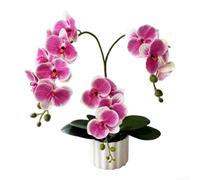 Comgooldool Orchidée phalaenopsis artificielle imprimée en 3D avec 16 fleurs réalistes, arrangement de fleurs artificielles de 37 cm dans un pot cannelé blanc pour maison/bureau/décoration (cœurs