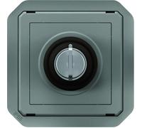 Legrand Interrupteur à clé Ronis Plexo 069534L 2 positions étanche gris