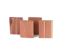 COMPACTOR Blocs Anti-Mites en Bois de Cèdre Naturel Lot de 4