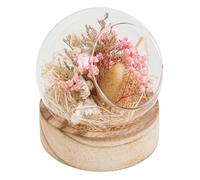 Composition de Fleurs Naturelles Pria 13cm Multicolore