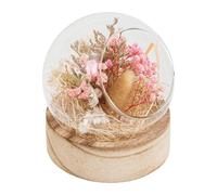 Composition de Fleurs Naturelles Pria 13cm Multicolore