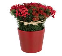 Composition Florale Pot Roses & Baies 25cm Rouge