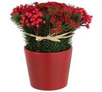 Composition Florale Pot "Roses & Baies" 25cm Rouge G