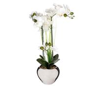 Composition Florale & Vase ""Orchidée"" 53cm Argent