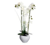 Composition Florale & Vase ""Orchidée"" 53cm Blanc