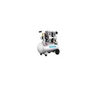 Compresseur Air sans Huile Compresseur Air Horizontal 750W 25L Silencieux