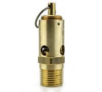 Compresseur d'air NPT 200 PSI 1,27 cm