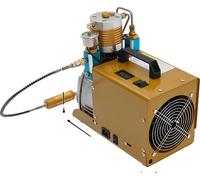 Compresseur d'air portable, pompe haute pression, applications polyvalentes, 220 V, UE