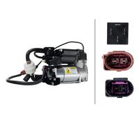 Compresseur d'air pour véhicules avec suspension pneumatique 8TG 358 256-211