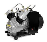 Compresseur d'air TUXING 4500Psi Pcp Mini-Compresseur d'air haute pression à double cylindre pour le remplissage de gaz de réservoir PCP 220V (TXEDM041)