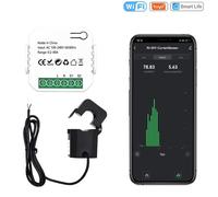Compteur de Puissance - PRUMYA - WiFi Tuya Smart Life - 80A - 110V/220V - 2.4GHz