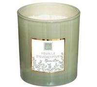Atmosphera – Bougie parfumée Mael – Eucalyptus – 190 g