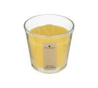 Atmosphera Nina Bougie à la citronnelle - 500 g