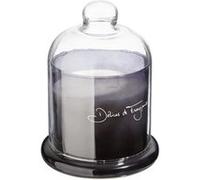 Bougie Parfumée sous Cloche Loyd Délices Frangipanier