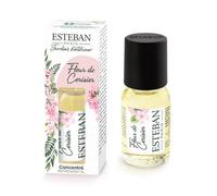 Esteban Concentré parfum Fleur de cerisier - Transparent