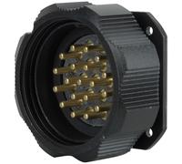 Connecteur châssis mâle AMPHENOL SOCAPEX Socapex à 19 broches - Connecteurs Socapex