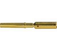 "Connecteur de puissance M12, type Bu-Kontakt, pour câbles de 1,5 mm², avec sertissage, pour les conducteurs d'alimentation et de terre (PWR/PE)."