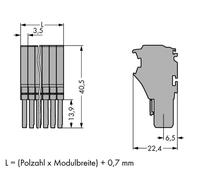 Connecteur femelle 1 conducteur WAGO 2020-111 20 pc(s)