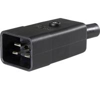 Connectique pour appareils réfrigérants AS Schwabe 62084 mâle, droit Nombre total de pôles: 2 10 A noir 1 pc(s)