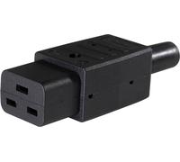 Connectique pour appareils réfrigérants AS Schwabe 62085 mâle, droit Nombre total de pôles: 2 10 A noir 1 pc(s)