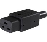 Connectique pour appareils réfrigérants AS Schwabe 62085 mâle, droit Nombre total de pôles: 2 10 A noir 1 pc(s)