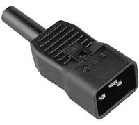 Connectique pour appareils réfrigérants Bachmann 915.175 mâle Nombre total de pôles: 2 16 A noir 1 pc(s) Package