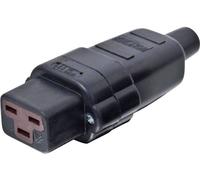 Connectique pour appareils réfrigérants Kalthoff 444Gu 444000 femelle, droit Nombre total de pôles: 2 + PE 16 A noir 1 pc(s)