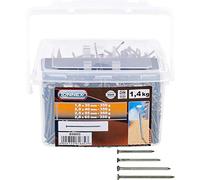 Connex B30053 Jeu de Clous/Pointes 4 sortes galvanisés 1,4 kg