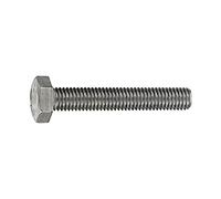 Connex KL4531100 Écrous hexagonaux M10 x 100 mm Acier Inox 1000 g