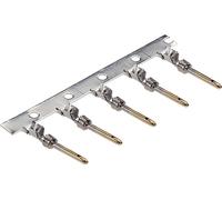 Contact mâle estampé SUB-D en bobine LAPP EPIC D-SUB SCBG AU G2 0,22-0,56 (500) 44429012 M-D 1,0 500 pc(s)