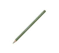 Conté à Paris Crayon Pastel Gris Vert