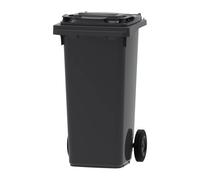 Conteneur mini 120 L (Gris)