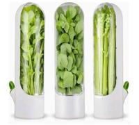 Conteneur pour herbes aromatiques - PZCC - Lot de 3 - Conservation jusqu'à 3 semaines - 25 x 6,5 cm - Blanc