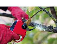 Contre-lame Felco 834W/2