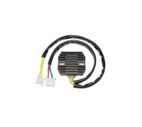 Contrôleur de charge ElectroSport ESR 641
