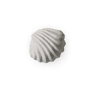 Cooee Design Sculpture The Clam Shell 13 cm Limestone