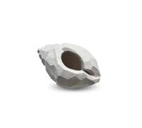 Cooee Design Sculpture The Pear Shell 16 cm Limestone