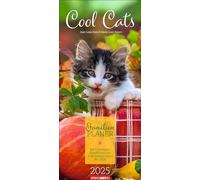 Cool Cats Calendrier familial 2025 - Grand calendrier photo avec 5 colonnes pour la famille - Beau calendrier mural familial 2025 avec de jolies photos de chats - 22 x 48 cm (calendrier animal jardin