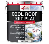 Cool roof toit plat terrasse réfléchissante Blanc 15 kg