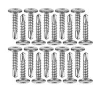 COOLHIYA Vis Autotaraudeuse en Acier Inoxydable 5,5x25 Mm, Tête Ronde Plate Hexagonale Interne, 20 Pièces, Fixation pour Clôture et Assemblage Extérieur, Vis de Sécurité pour Portes