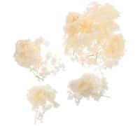 COOPHYA Pétales d'Hortensia Séchés Naturels Beige 30G pour Décoration de Mariage et Centre de Table, Confettis de Fleurs pour Salle de Bain et Fête DIY