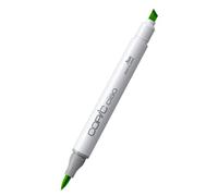 Marqueur À L'alcool Copic Ciao Yg06 Yellowish Green